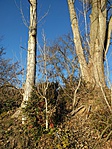IMG_20191123_142027