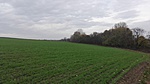 IMG_20191116_113623