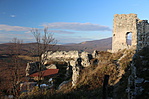 IMG_1980