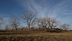 20191124_093335