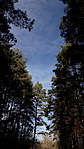 20191124_101334