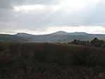 PB014009