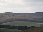 PB014019