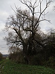 PB014021