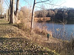 IMG_20191123_141807