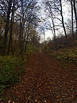 IMG_8294(1)