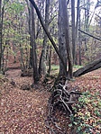 IMG_8291(1)