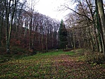 IMG_20191215_103458