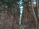 bokodi-tó 1