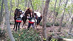 IMG_20191014_160806