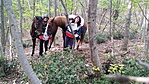 IMG_20191014_160850