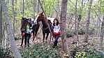 IMG_20191014_161204