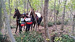 IMG_20191014_161308