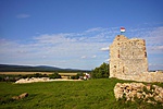 P1110635R