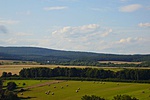 P1110642R