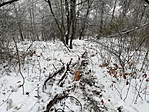 IMG_20191207_111137