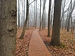 IMG_20191220_080900