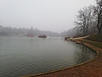 IMG_20191220_081027