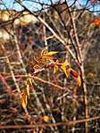 IMG_20191226_120203