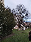 IMG_20191228_151346