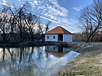 IMG_2090