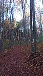 20191117_092922