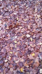 20191117_092936