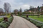 _DSC0669