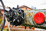 _DSC0691