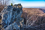 _DSC0792