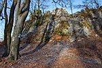 _DSC0801