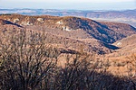 _DSC0795