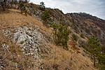 _DSC0951