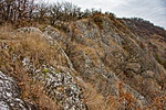 _DSC0948