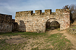 _DSC0982