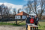_DSC0995