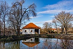 _DSC0984