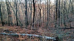 IMG_20191214_145157_HDR