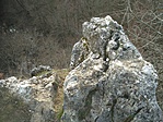 Fentről