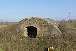 P1100159