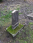 IMG_20191218_103421