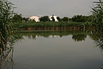 IMG_7725