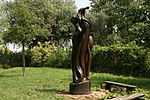 IMG_7731