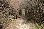 DSC_8647