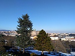 IMG_20191203_131257