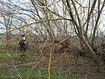 IMG_20191227_103858