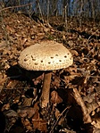 20191130_111930