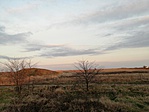 IMG_20191122_154448