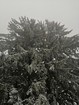 IMG_20191213_133641