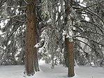 IMG_20191213_133701